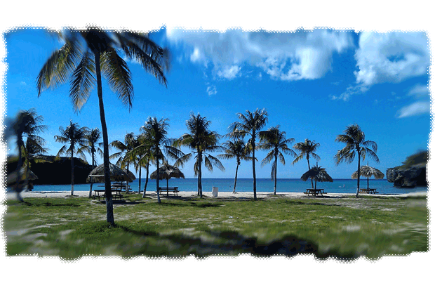 strand auf Curacao